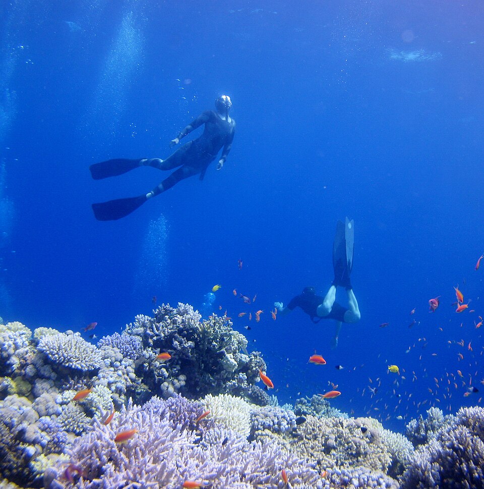 Water temperature, visibility & currents