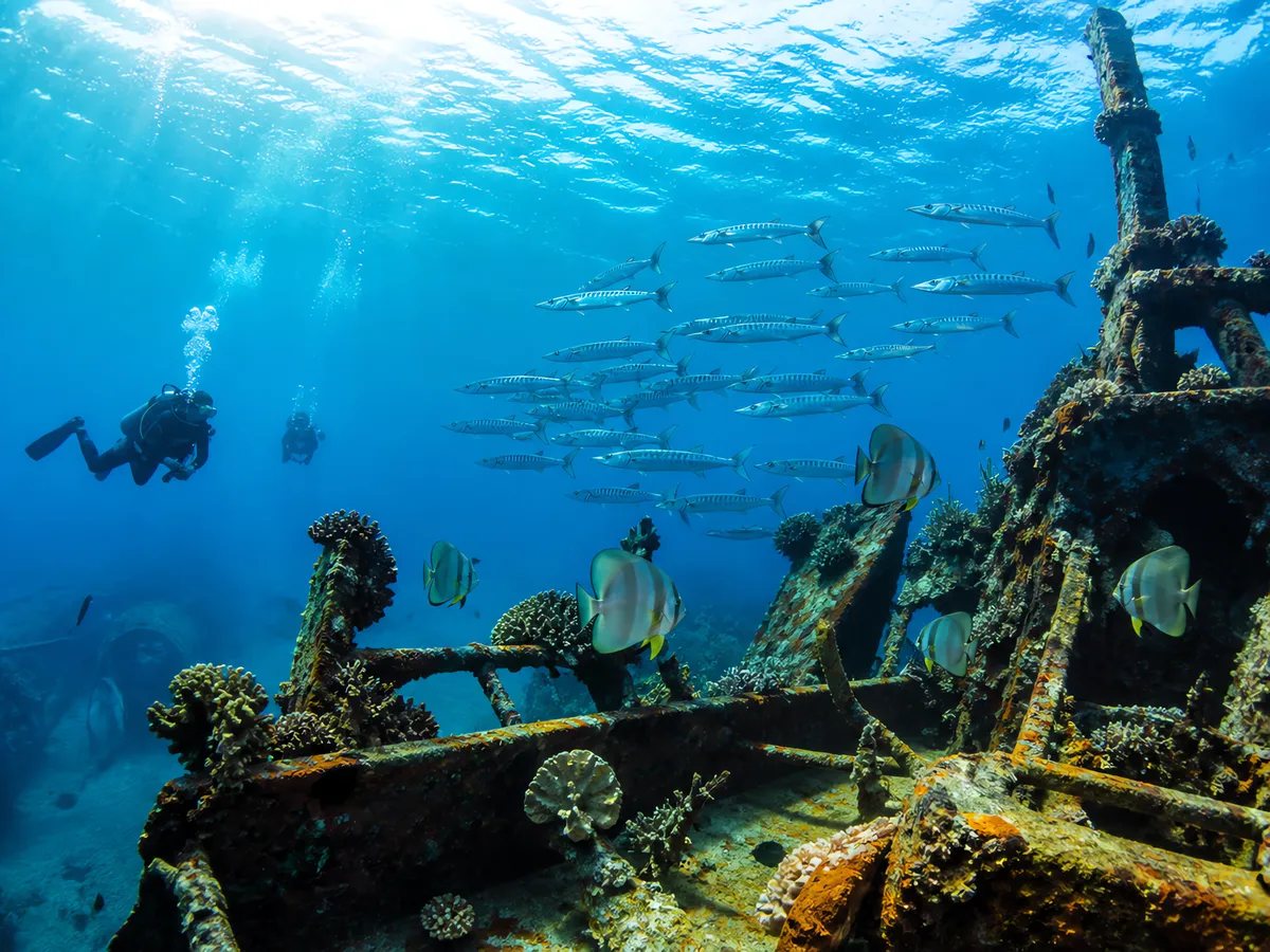 Coron Bay Wrecks
