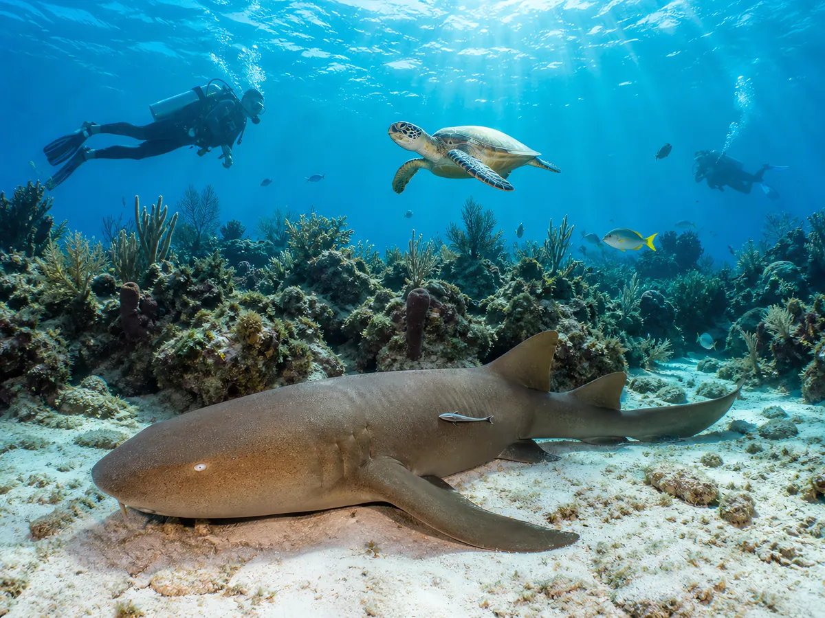 Hol Chan Marine Reserve