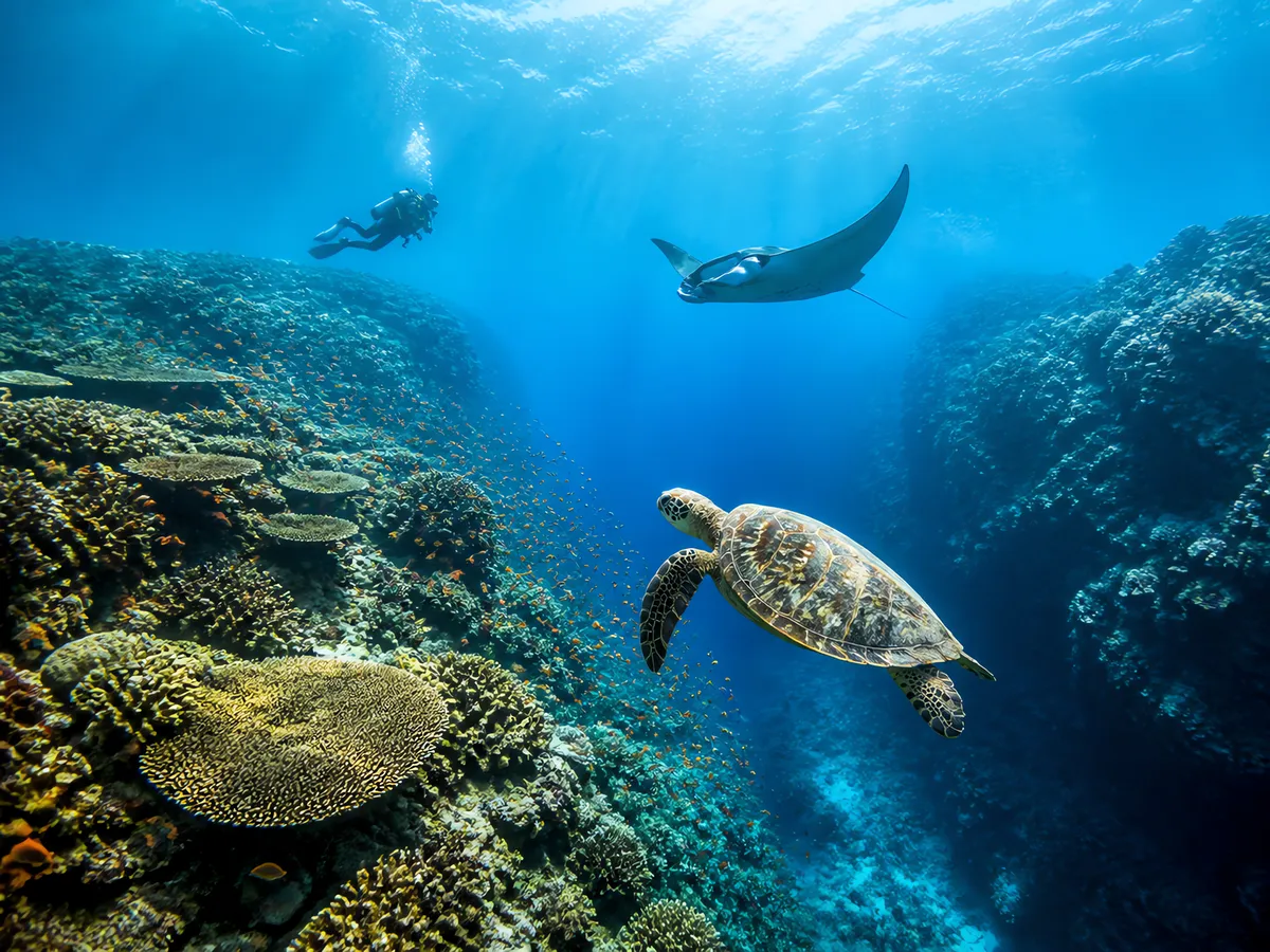 Kerama Islands