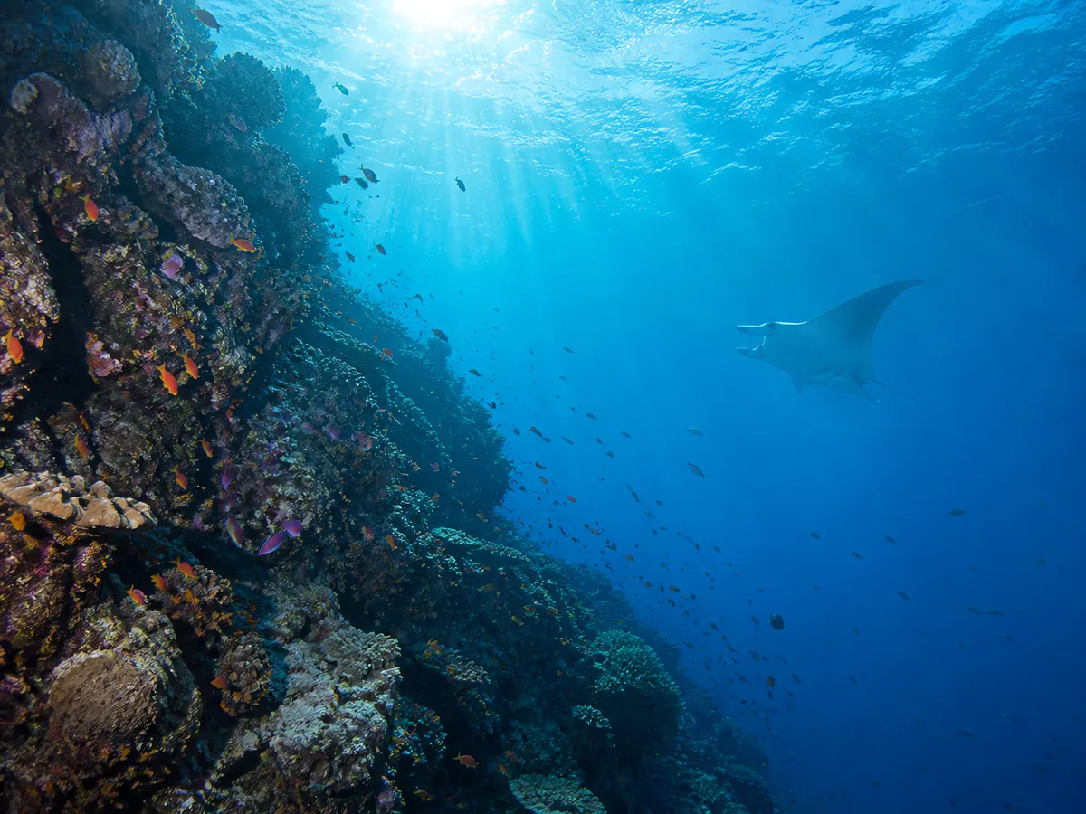 Layang-Layang (Swallow Reef)