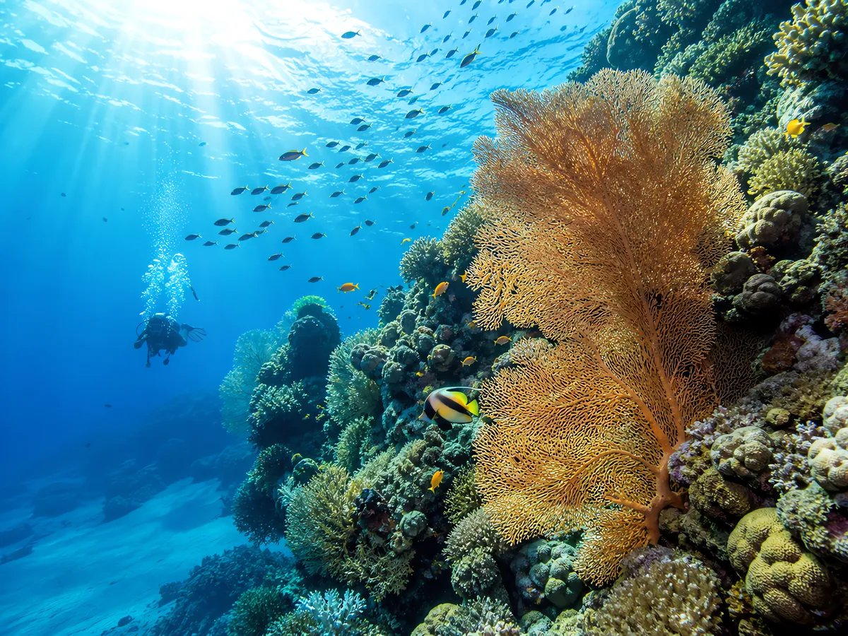 Ras Mohammed National Park